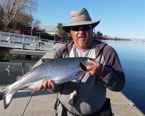 Sacramento River Fishing: The Complete Guide for 2024 .